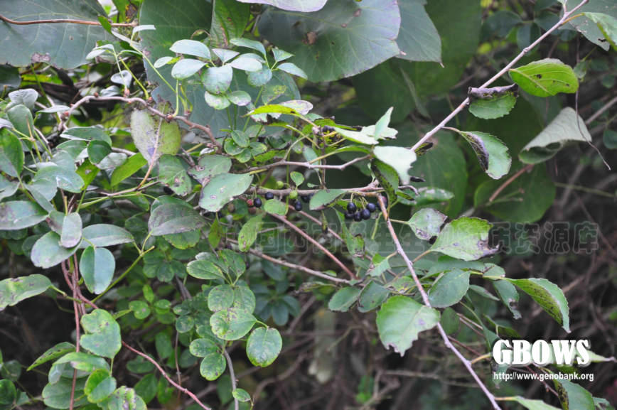 最大老鼠仓案被指量刑不当 李旭利领刑最重