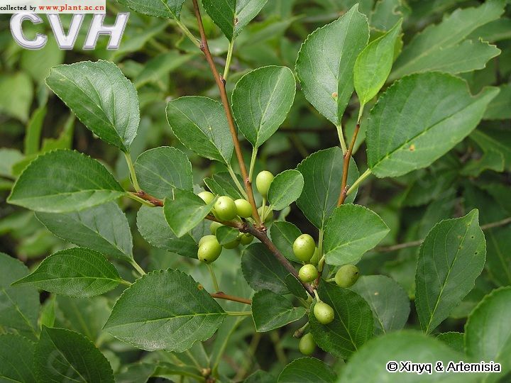 国际军情_军事频道_光明网