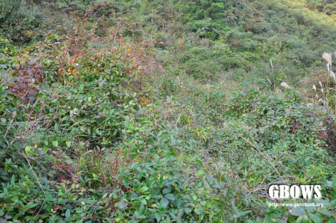 要闻 - 中国日报网